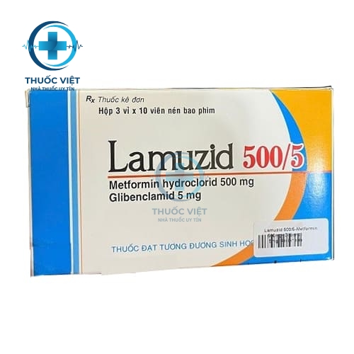 Lamuzid 500/5 Savipharm